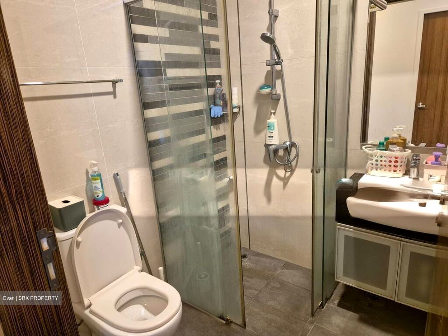 Novena Regency (D11), Apartment #506200051